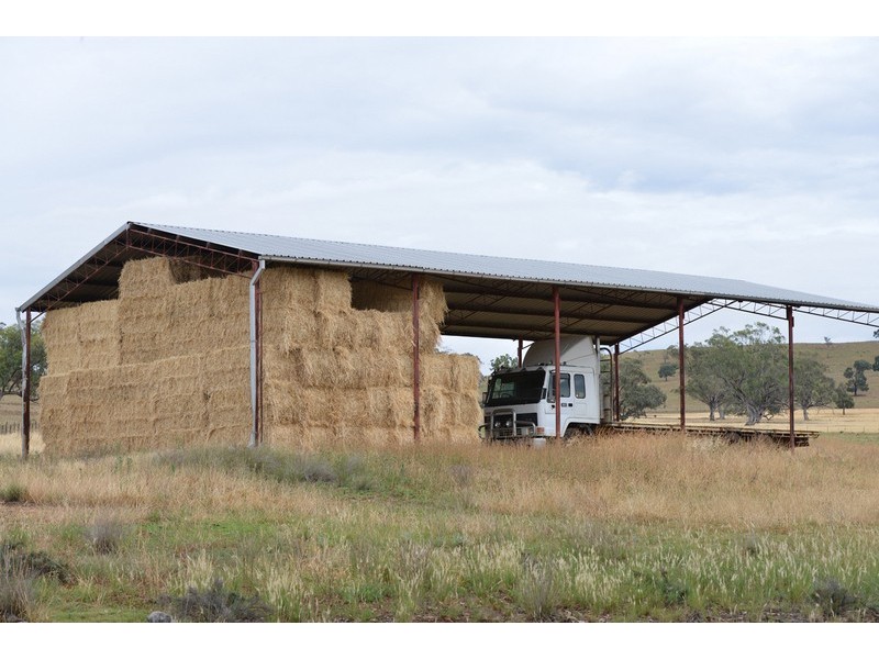 ” Barrington Park”, Quirindi NSW 2343