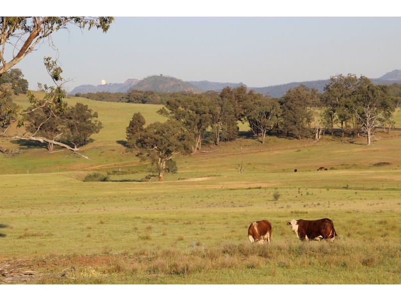 ” NULLABONG”, Coonabarabran NSW 2357