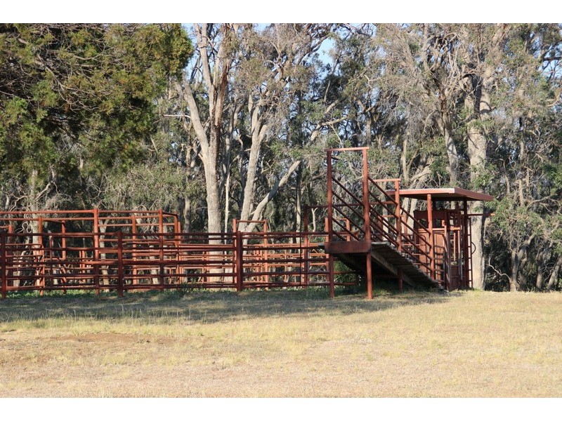 ” NULLABONG”, Coonabarabran NSW 2357