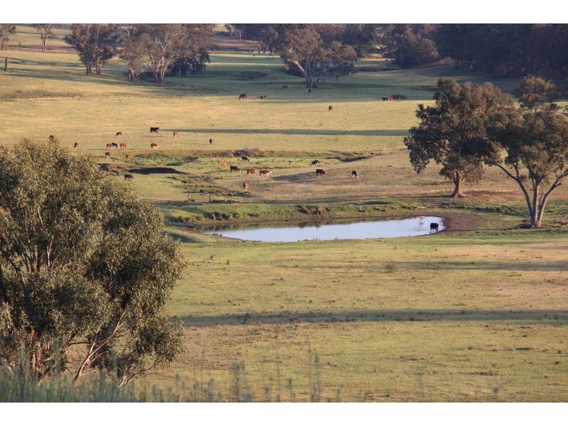 ” NULLABONG”, Coonabarabran NSW 2357