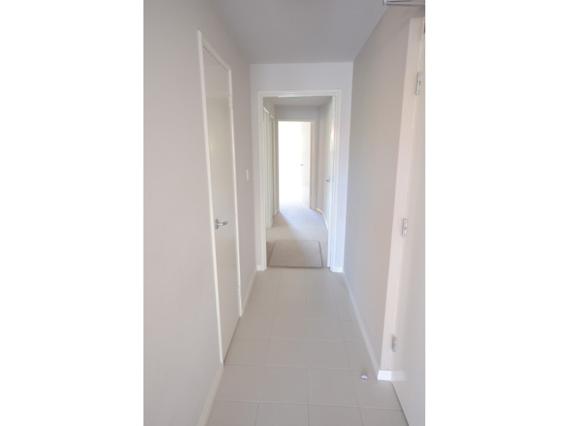 3/2 Wexford Street, Subiaco WA 6008