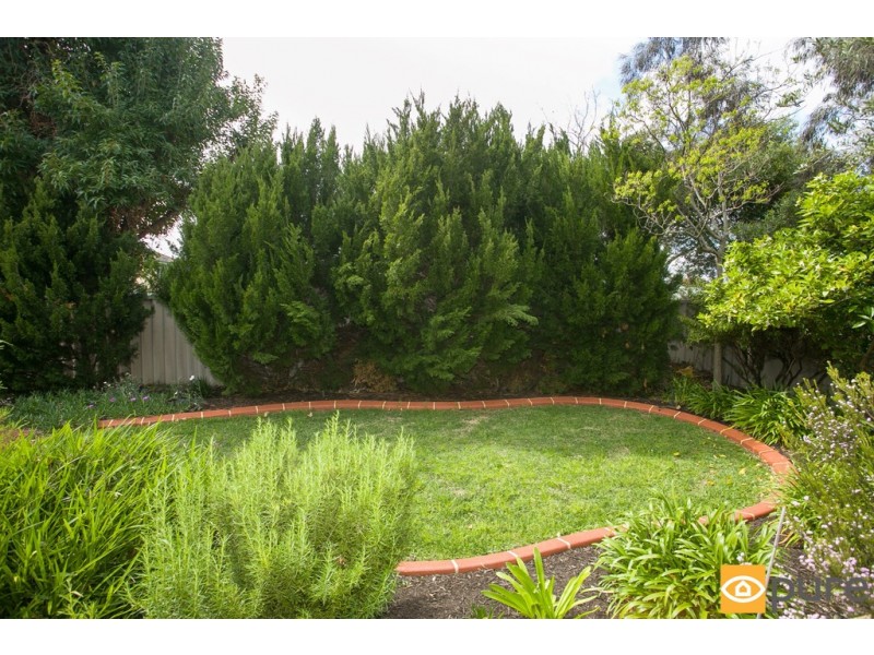 13 Alderbury Street, Floreat WA 6014