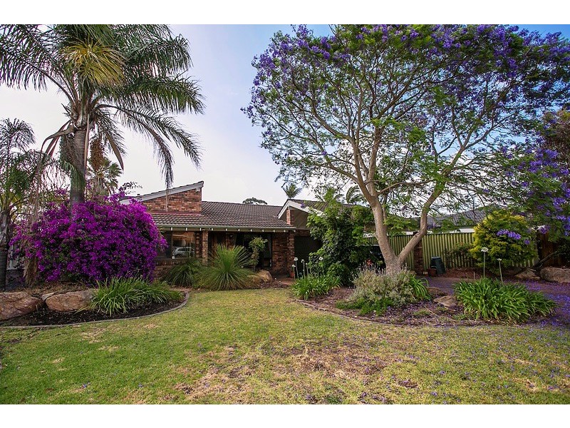 33 Risley Way, Carine WA 6020