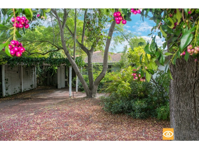 69a Williams Road, Nedlands WA 6009