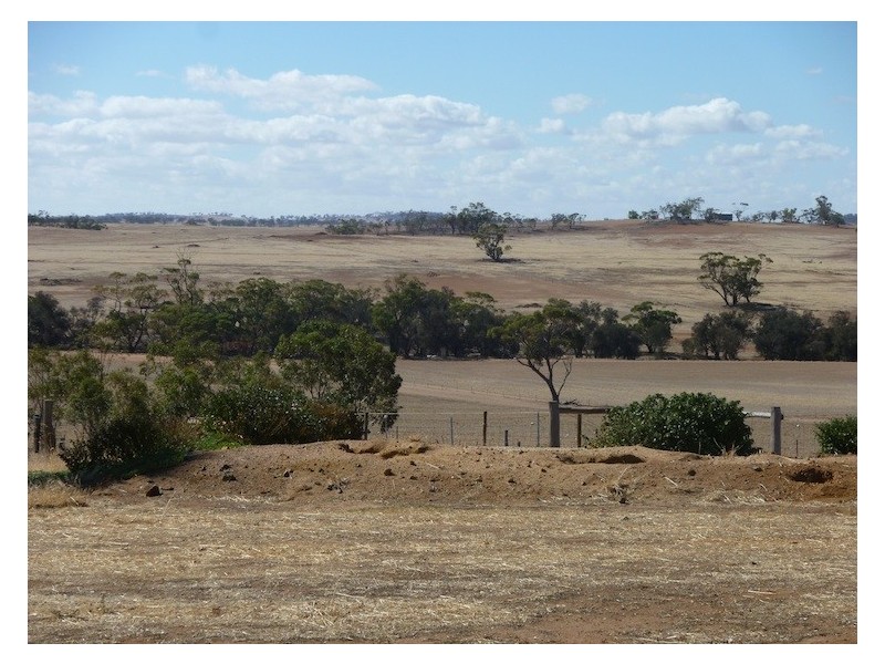 972 Irishtown Road, Irishtown WA 6401