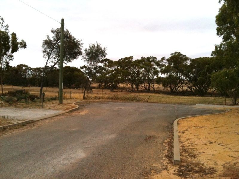 20 Milhinch Street, Muluckine WA 6401