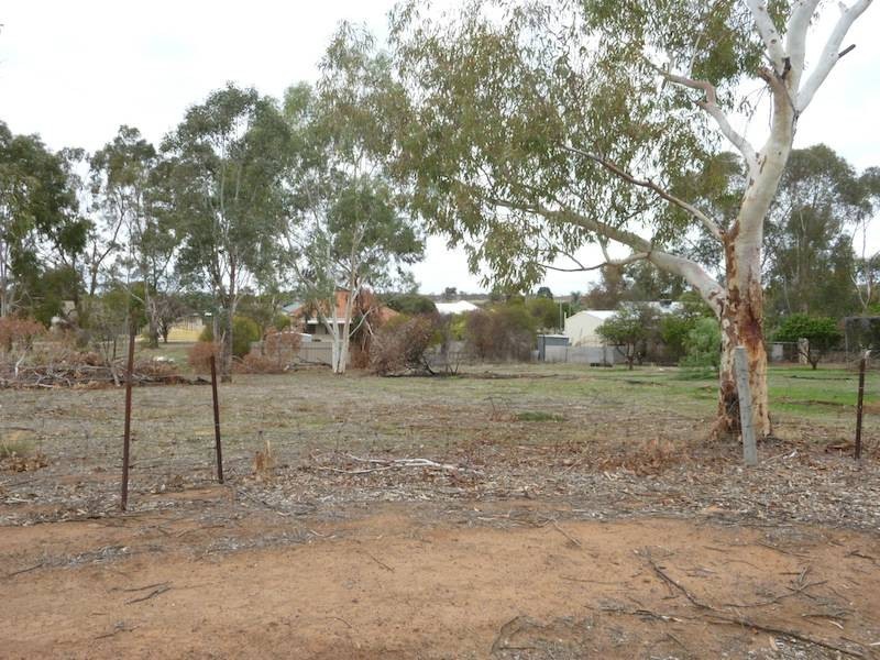 31 Tankard Street, Northam WA 6401