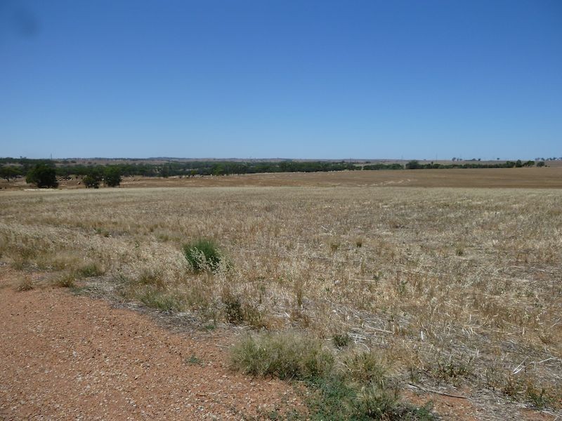 44 Loton Drive, Northam WA 6401