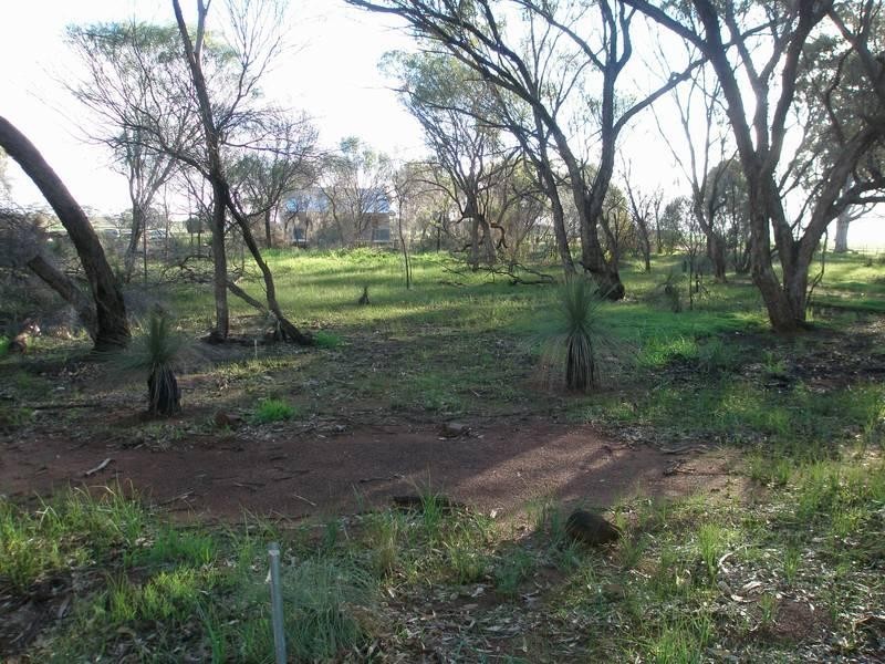 Lot 32 Citron Avenue, Muluckine WA 6401