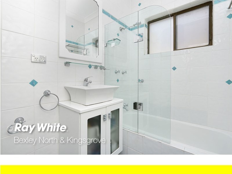 163 William Street, Earlwood NSW 2206