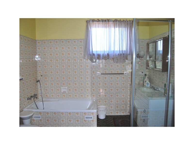 17 Mimosa Street, Bexley NSW 2207