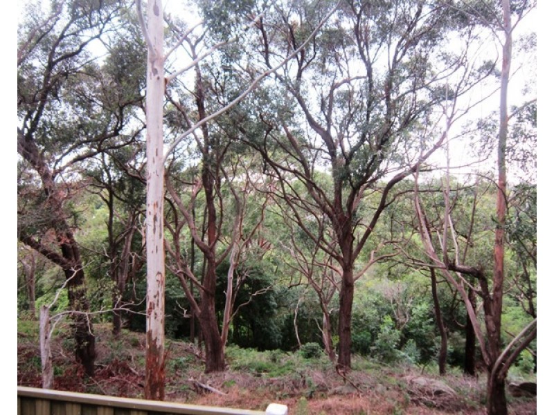 8A Hutchinson Street, Bardwell Park NSW 2207