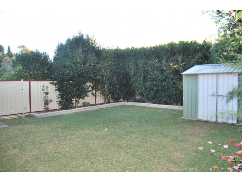 15 Young Street, Penshurst NSW 2222