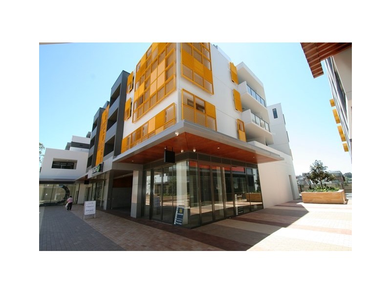 D309/11 Mashman Avenue,, Kingsgrove NSW 2208