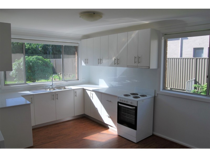 31 Olive STreet, Kingsgrove NSW 2208