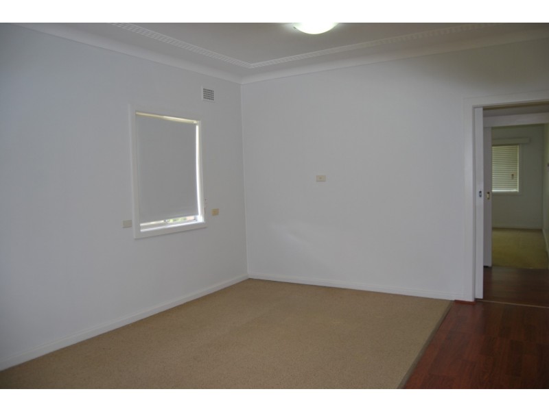 31 Olive STreet, Kingsgrove NSW 2208