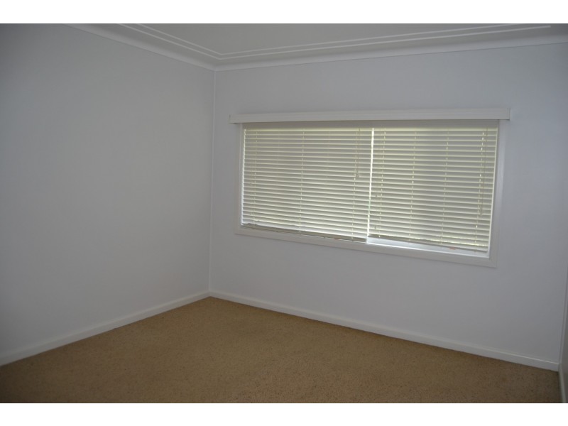 31 Olive STreet, Kingsgrove NSW 2208