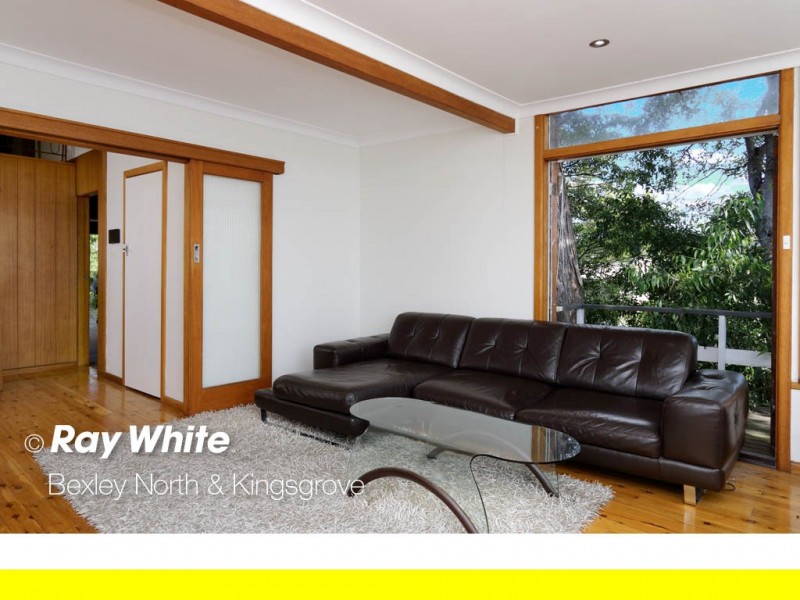 11 Allan Street, Kangaroo Point NSW 2224