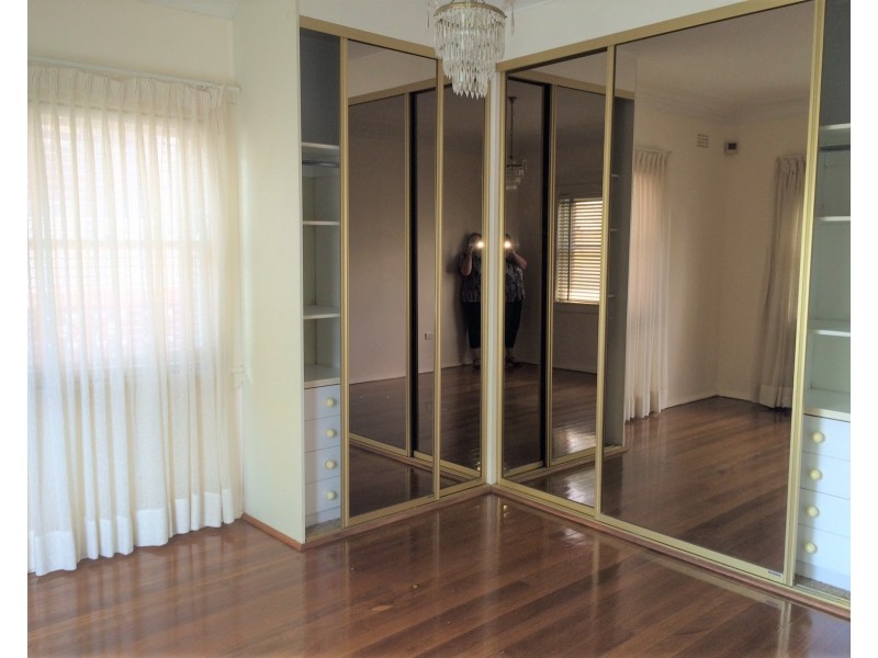 53 Staples Street, Kingsgrove NSW 2208