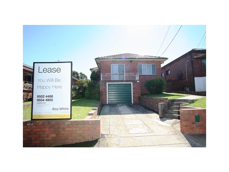 17 Pacific Street, Kingsgrove NSW 2208