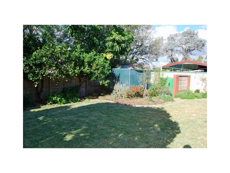 8 Staples Street, Kingsgrove NSW 2208