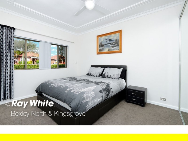 163 William Street, Earlwood NSW 2206