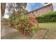 33 Britannia Road, Castle Hill NSW 2154
