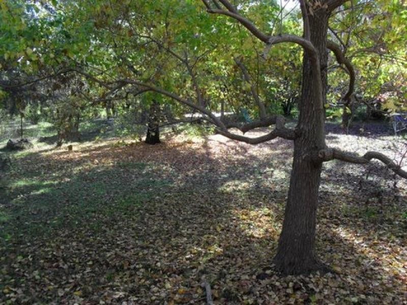 East Kurrajong NSW 2758