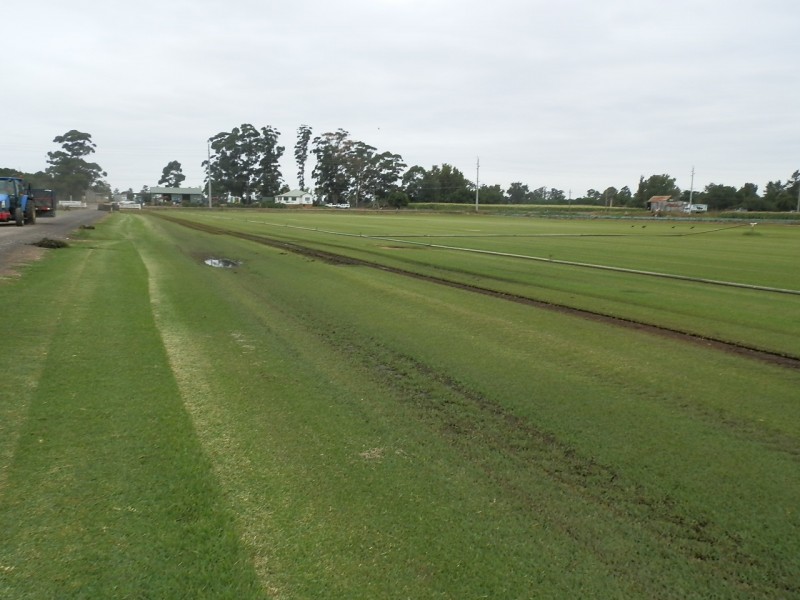 107 Wilberforce Road, Wilberforce NSW 2756