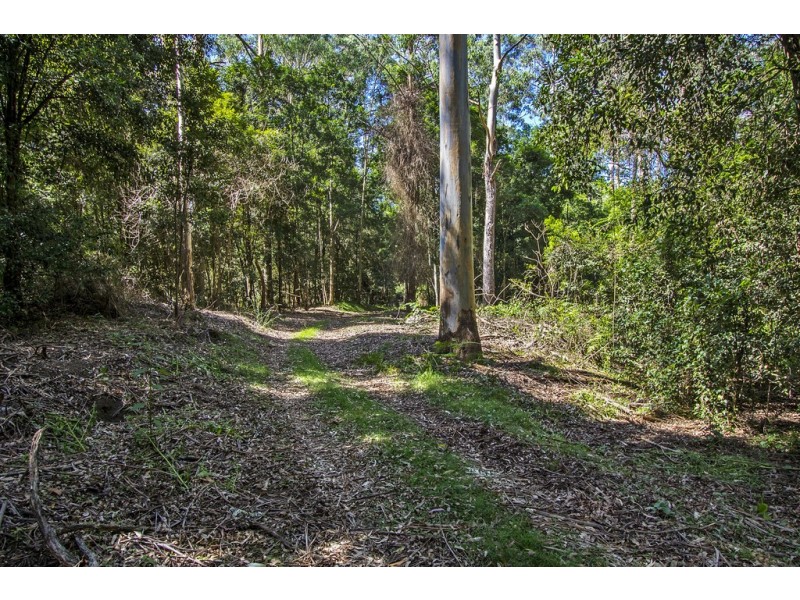 1370 Comleroy Road, Wheeny Creek NSW 2758