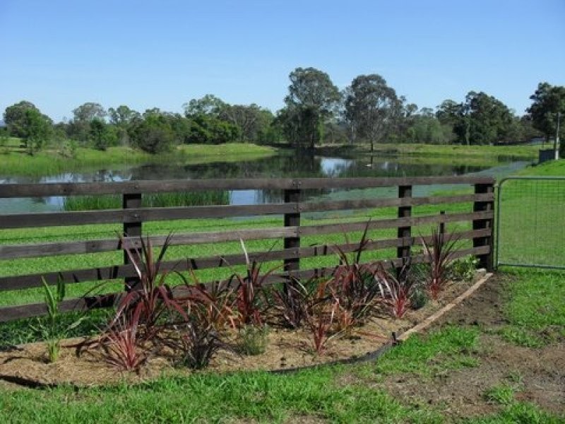 Glossodia NSW 2756