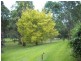 Kurrajong NSW 2758