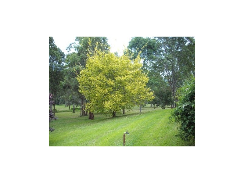 Kurrajong NSW 2758