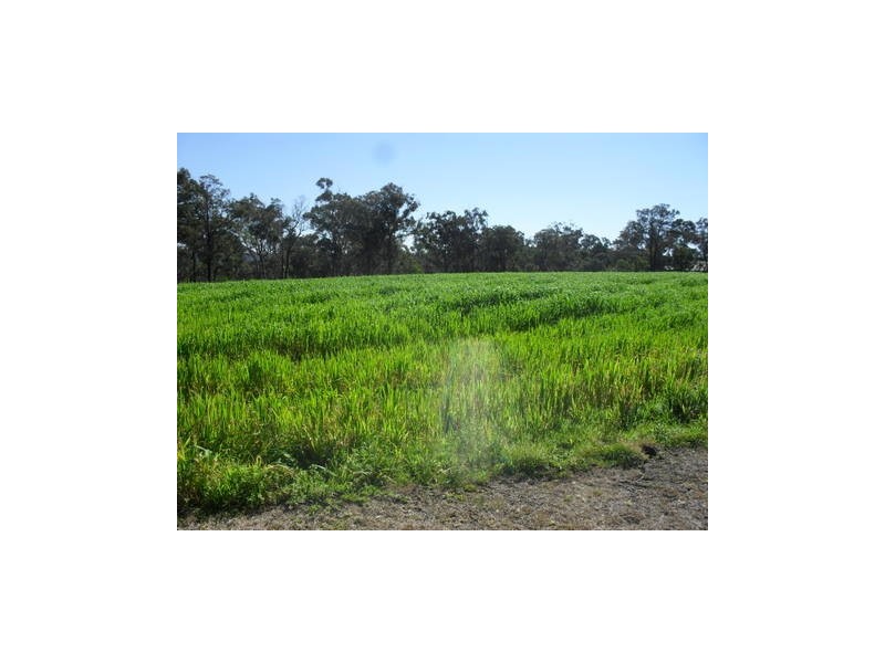 Ebenezer NSW 2756