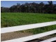 Ebenezer NSW 2756