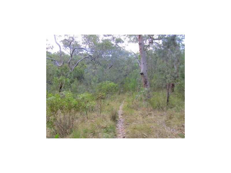 East Kurrajong NSW 2758