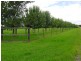 Cornwallis NSW 2756