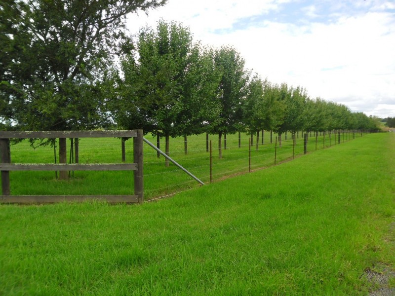 Cornwallis NSW 2756