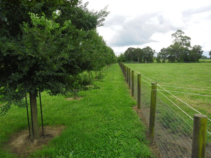 Cornwallis NSW 2756