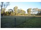Wilberforce NSW 2756