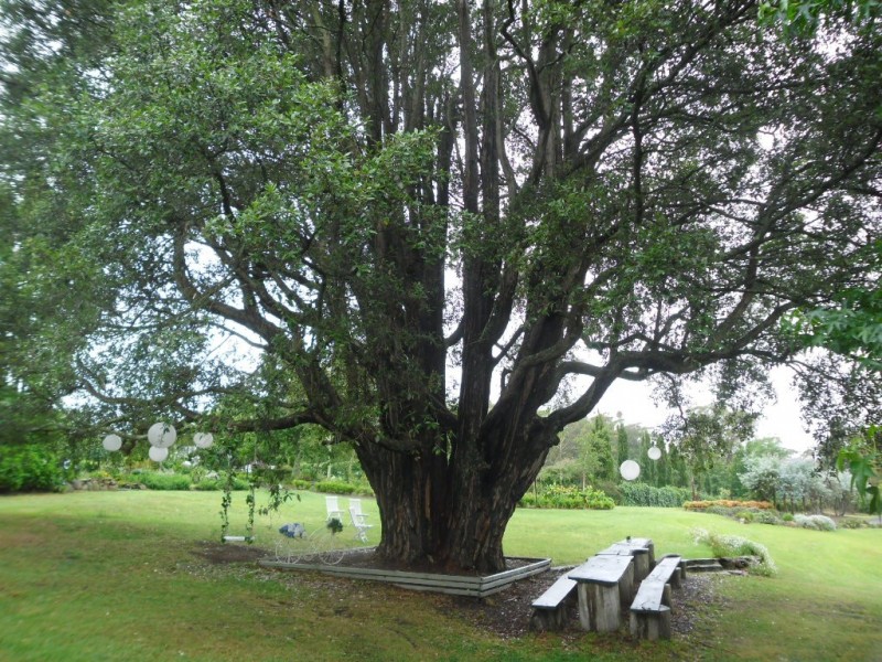 Kurrajong Heights NSW 2758