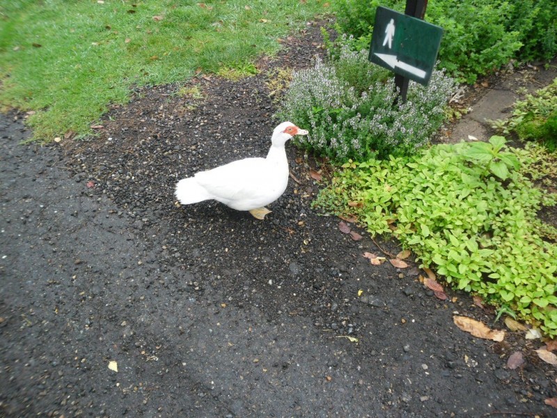 Kurrajong Heights NSW 2758