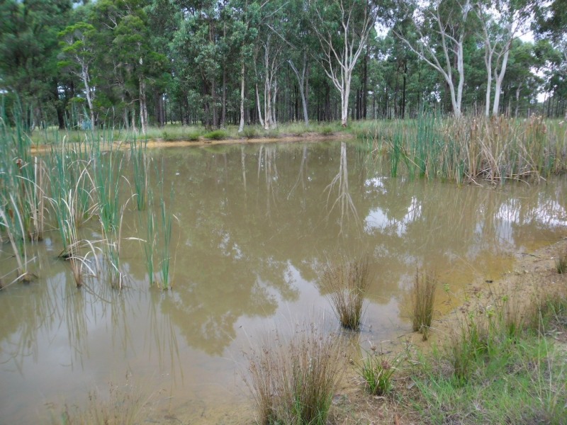 Londonderry NSW 2753