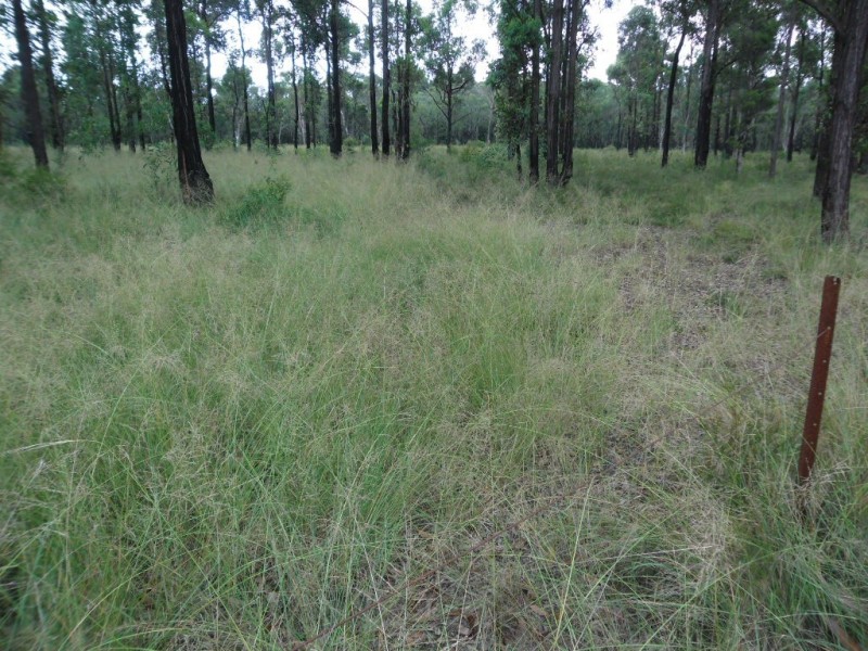 Londonderry NSW 2753