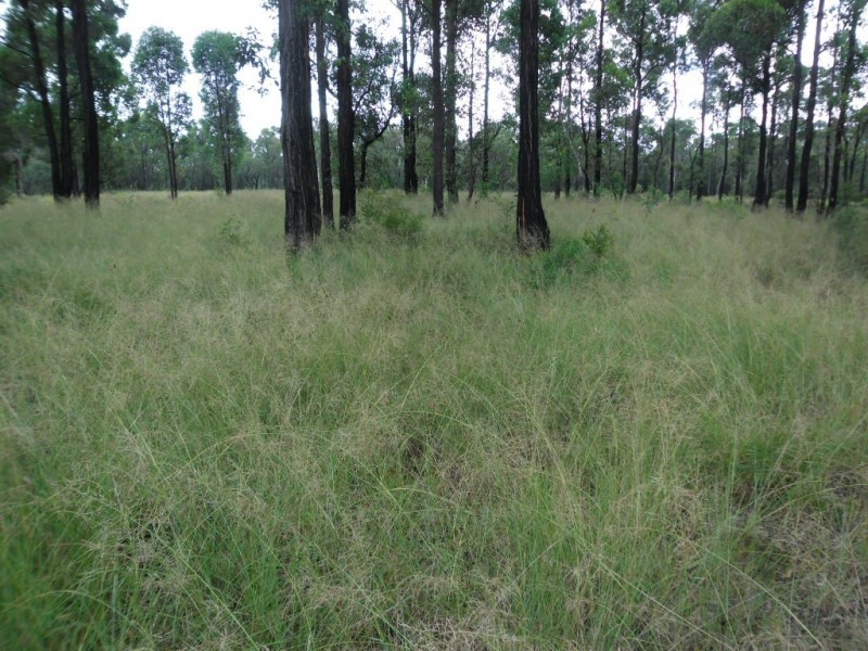 Londonderry NSW 2753