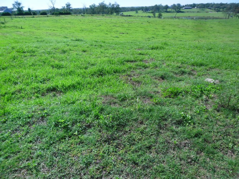 Wilberforce NSW 2756