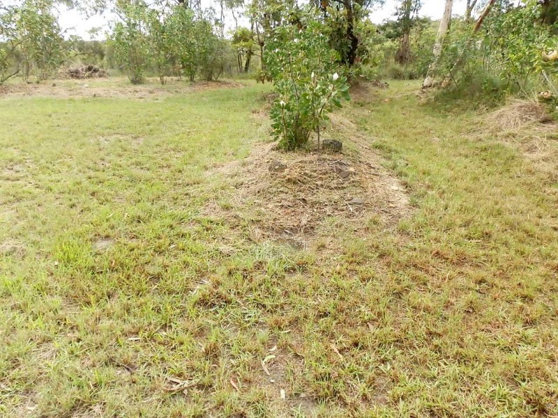 Blaxlands Ridge NSW 2758