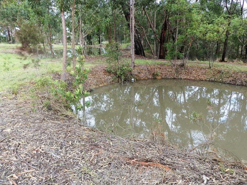 Blaxlands Ridge NSW 2758