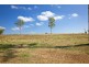 Lot 305 Grono Farm Road, Wilberforce NSW 2756