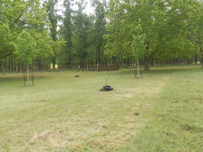 396 Mud Island Road, Sackville North NSW 2756